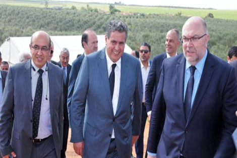 مخطط المغرب الأخضر: السيد أخنوش يقوم بزيارة ميدانية لإقليم بركان لتتبع مدى تقدم برامج ومشاريع فلاحية