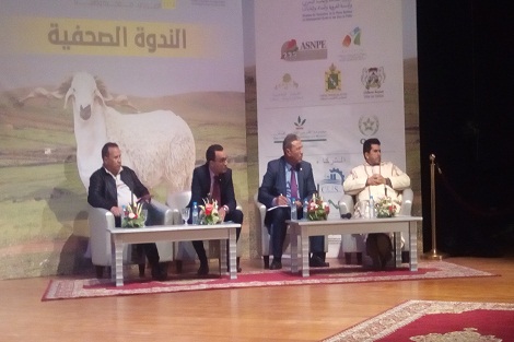 عبد الرحيم العسري: صالون الصردي اصبح موعدا لتثمين السياسة القطاعية لتربية الأغنام في المغرب