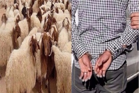 درك سطات يفكك لغز عصابة”الفراقشية” التي روعت ساكنة إقليمي سطات وبرشيد