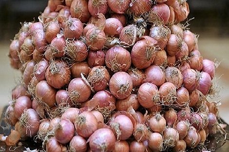 اختلال التوازن بين العرض والطلب وراء ارتفاع أسعار البصل والوضع الطبيعي سيعود مع دخول إنتاج الموسم الحالي