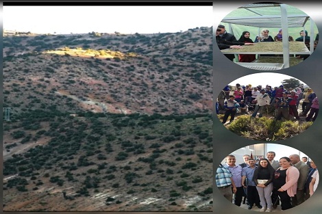 الرباط : المندوبية السامية تستعرض إنجازاتها في القطاع التعاوني الغابوي