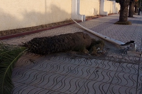 شوارع مدينة سطات تتحول ليلا إلى حلبة لسباق السيارات والدراجات النارية