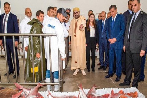 جهة سوس -ماسة .. العناية الملكية بقطاع الصيد التقليدي تتجسد بتدشين نقطة تفريغ مجهزة بإيموران