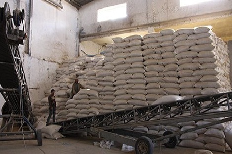 توزيع 2,5 مليون قنطار من الشعير المدعم لمربي الماشية في المناطق المتضررة من قلة التساقطات المطرية