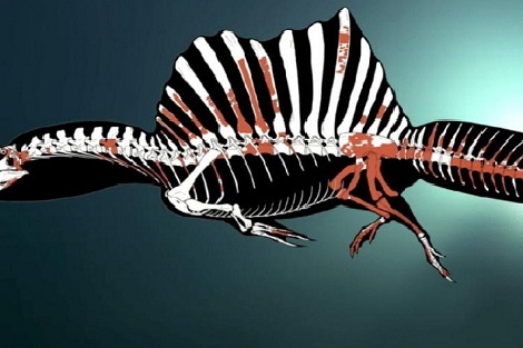 المغرب..اكتشاف بقايا أول ديناصور مائي في العالم