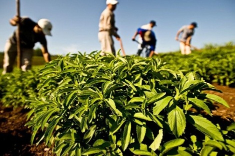 مجلس الحكومة يصادق على مشروع قانون بمنح بعض الفلاحين أراض فلاحية