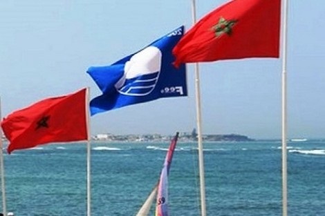 طبقا لشروط اللواء الأزرق.. 26 شاطئا وميناءا ترفيهيا توفر السلامة للمصطافين