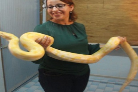 باحثة مغربية ضمن “بطلات” التوعية بلدغات الأفاعي