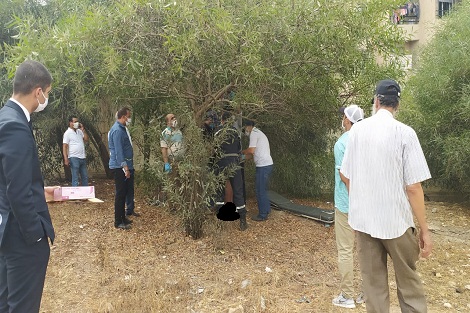 العثور على جثة عشريني معلقة بشجرة بمؤسسة تعليمية بسطات في ظروف غامضة