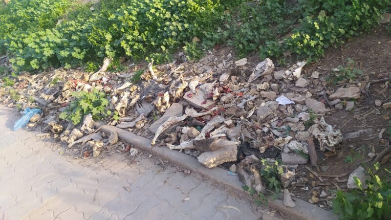 أصحاب الشوايات بسطات .. احتلال الملك العمومي  والتهديد بكارثة بيئية