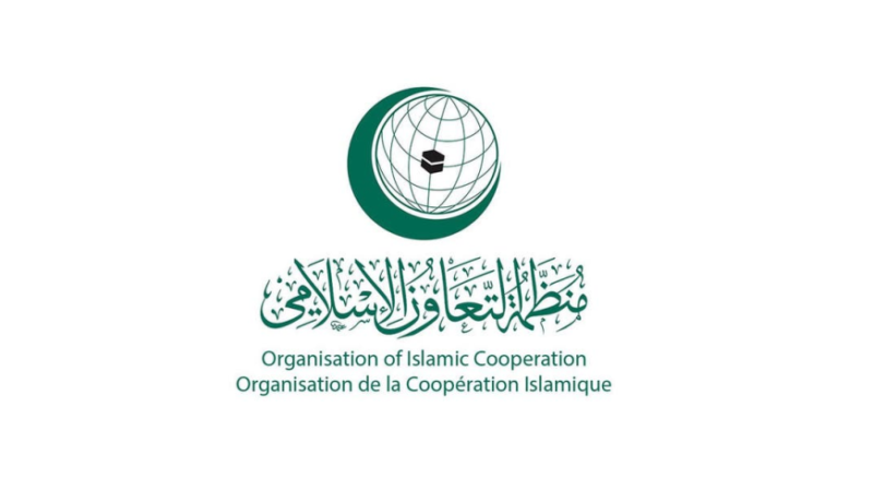 منظمة التعاون الإسلامي تشيد بقرار الملك محمد السادس تسهيل عودة القاصرين غير المرفوقين في أوروبا