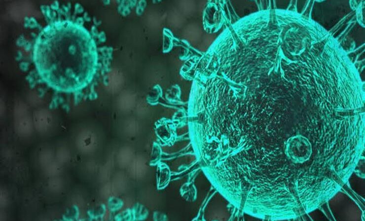 كوفيد-19 : 45 حالة إصابة جديدة بسطات