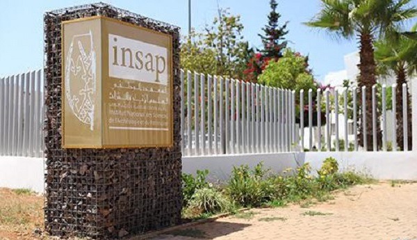 الدار البيضاء.. اكتشاف أقدم أثر للثقافة الأشولية بشمال إفريقيا يعود إلى مليون و 300 ألف سنة (المعهد الوطني لعلوم الآثار والتراث)