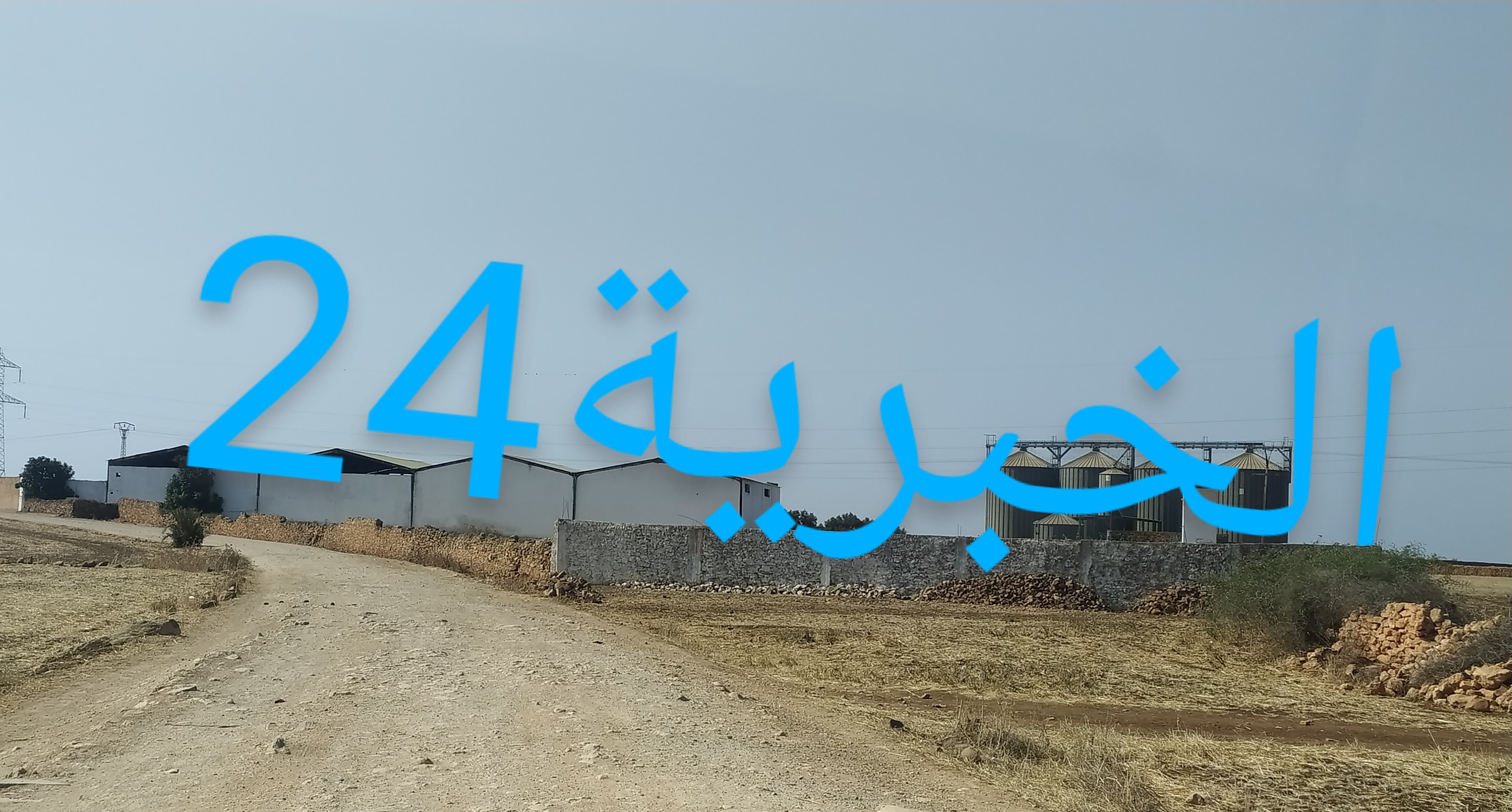 سطات..درك أولاد سعيد يحجز مئات الأطنان من العلف تتضمن علف فاسدا