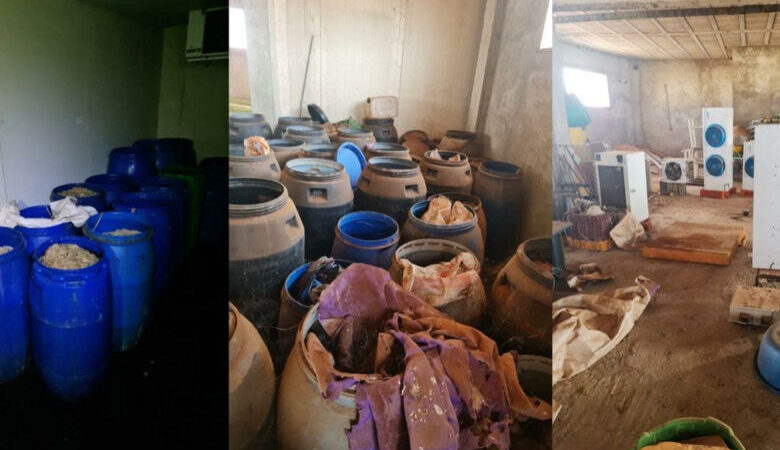 بركان.. حجز كميات مهمة من المواد الغذائية المعدة والمخزنة في ظروف غير صحية داخل وحدة صناعية