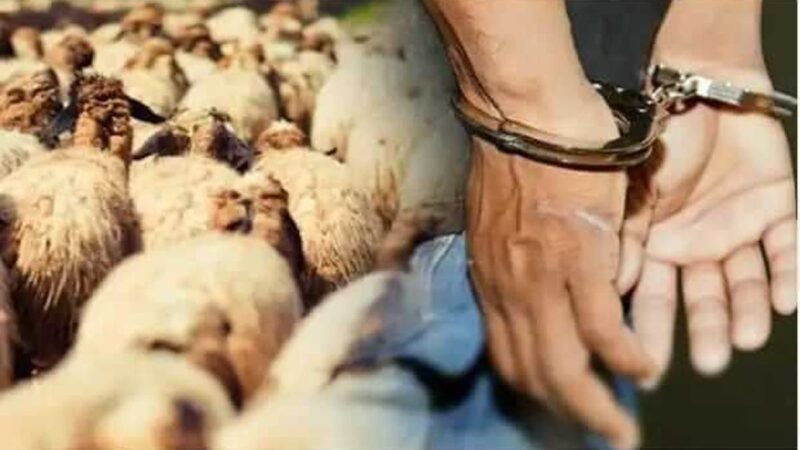 درك السوالم يطيح بشبكة “الفراقشية” الإجرامية تنشط على المستوى الوطني