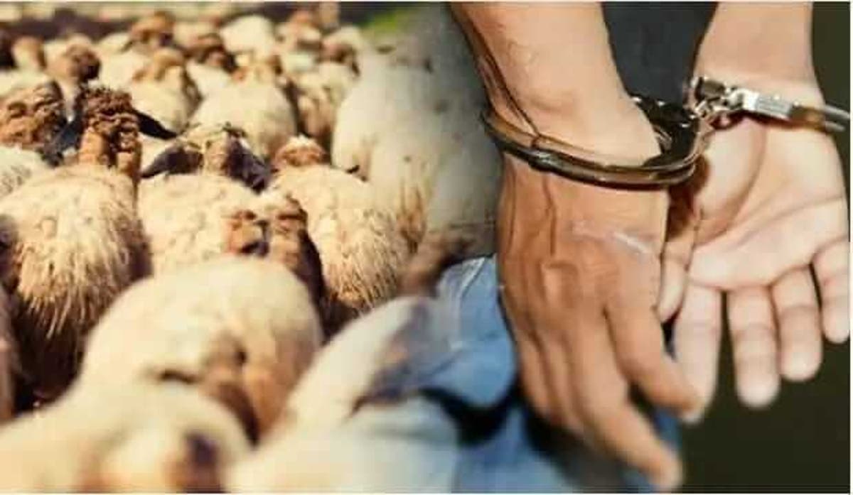 درك السوالم يطيح بشبكة “الفراقشية” الإجرامية تنشط على المستوى الوطني