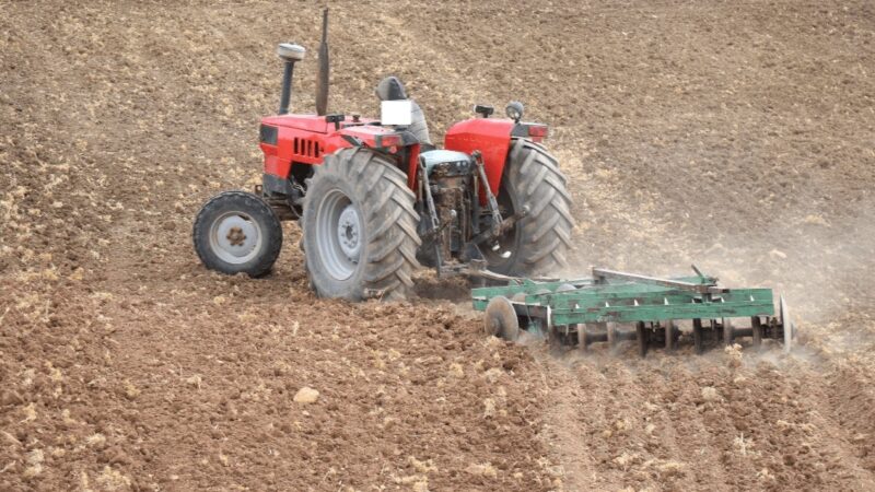 حرث المسالك الطرقية بإقليم سطات يستوجب تدخل الجهات المختصة