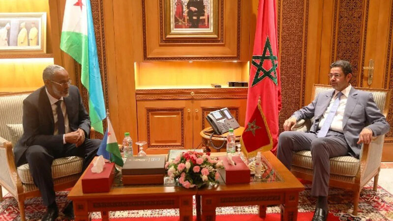عبد النباوي يبحث مع وزير العدل الجيبوتي سبل تعزيز التعاون الثنائي في المجالات القضائية والقانونية