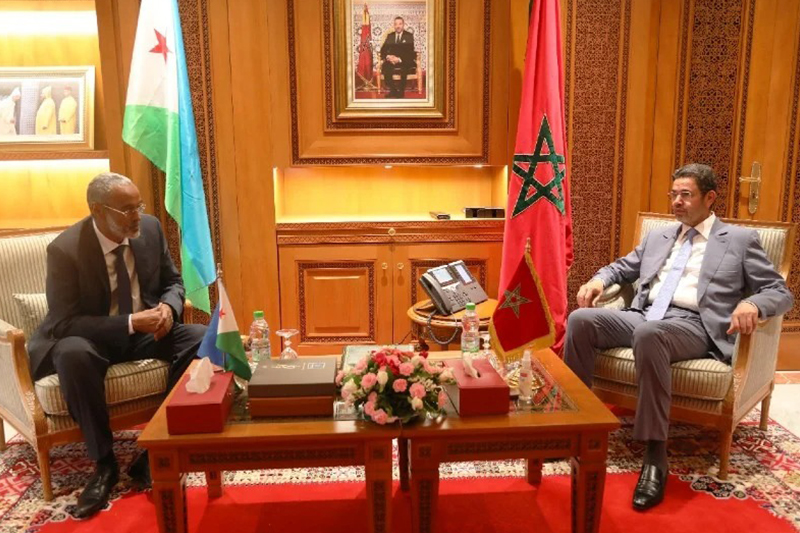 عبد النباوي يبحث مع وزير العدل الجيبوتي سبل تعزيز التعاون الثنائي في المجالات القضائية والقانونية