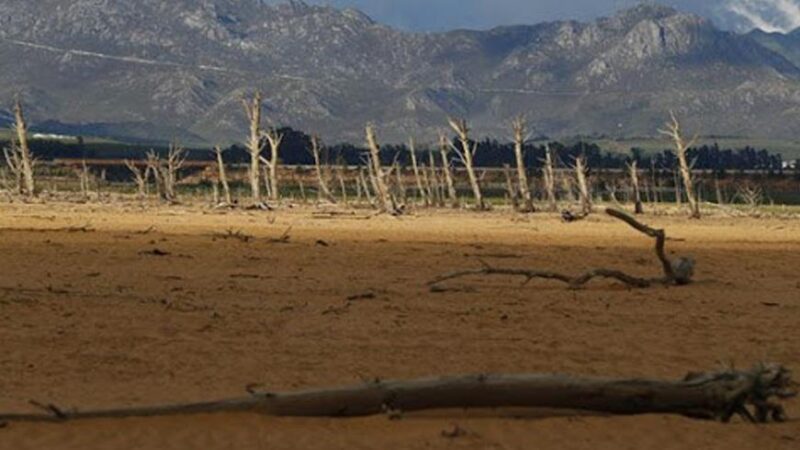 انعدام الأمن الغذائي.. خطة صندوق النقد الدولي لمواجهة “صدمة الغذاء”