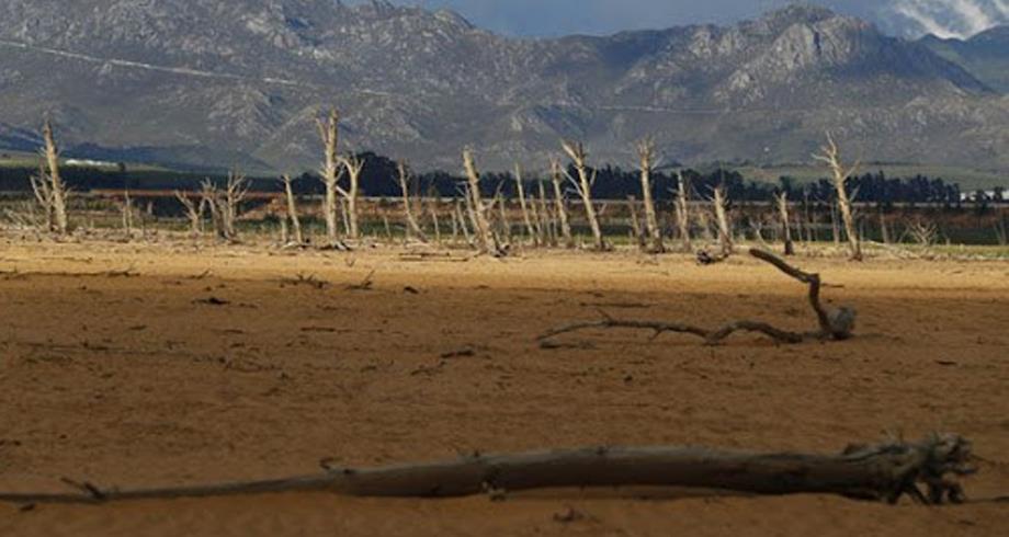 انعدام الأمن الغذائي.. خطة صندوق النقد الدولي لمواجهة “صدمة الغذاء”