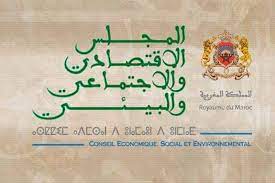 التوصيات الرئيسية في دراسة المجلس الاقتصادي والاجتماعي والبيئي حول موضوع “الصحة العقلية على المستوى الوطني”
