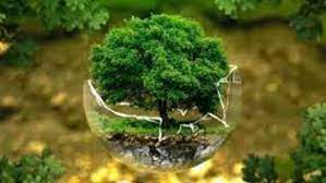 مؤشر الأداء المناخي لسنة 2023: المغرب يرتقي إلى الرتبة الرابعة