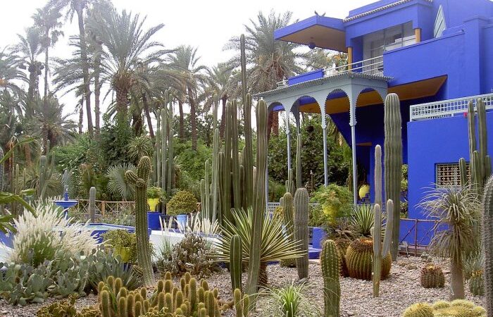 مؤسسة حدائق ماجوريل بمراكش .. المعرض المؤقت للفنان الأمريكي ساي تومبلي “ساي تومبلي، المغرب 1952 – 1953″، أو مغرب الخمسينيات بعيون رسام مسافر