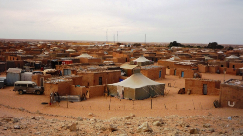 جنيف.. منظمة غير حكومية تندد بالاستغلال السياسي والعسكري للأطفال في مخيمات تندوف