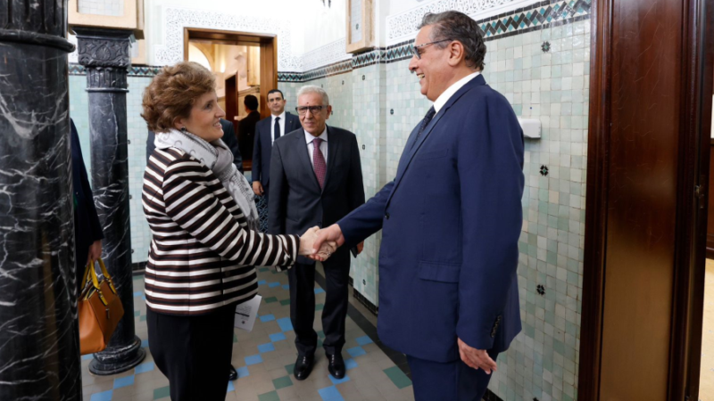 أخنوش يستقبل الرئيسة المديرة العامة لهيئة تحدي الألفية