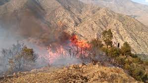 الوكالة الوطنية للمياه والغابات: تسجيل 182 حريقا بالمغرب من فاتح يناير إلى 10 يوليوز 2023