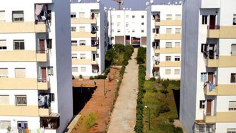 المنصة الرقمية “دعم السكن” ..تسجيل 16 ألف و302 طلب استفادة في ظرف أسبوع واحد (وزيرة)