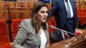 برنامج السكن الاجتماعي.. إنجاز 698 ألف وحدة سكنية إلى حدود مارس 2024 (المنصوري)