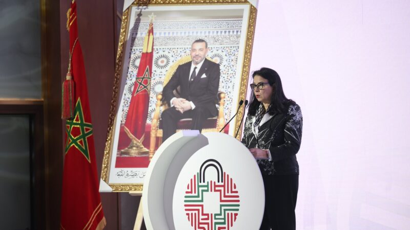 الذكاء الاصطناعي.. المغرب يدعو لمقاربة توفق بين السيادة والاستخدام المشترك (السغروشني)