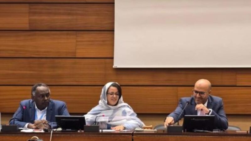 الحق في التنمية في شمال إفريقيا: خبراء يسلطون الضوء على تجربة المغرب الفريدة