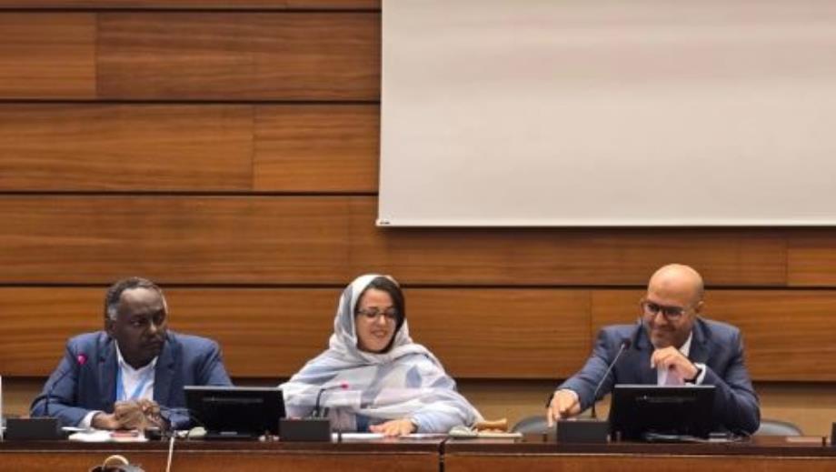 الحق في التنمية في شمال إفريقيا: خبراء يسلطون الضوء على تجربة المغرب الفريدة