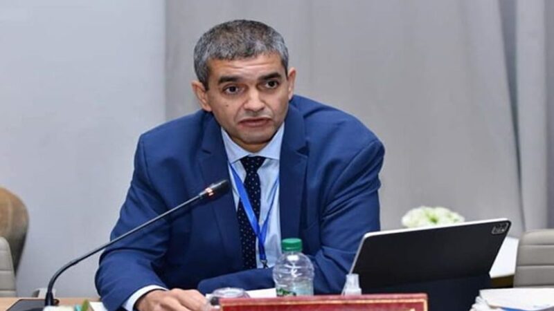 أديس أبابا.. انتخاب المغرب لرئاسة الدورة الـ57 للجنة الاقتصادية لإفريقيا يعكس ثقة البلدان الإفريقية في دور المملكة بالقارة (خبير)