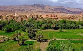 الواحات في مواجهة التغيرات المناخية العالمية.. محور مناقشات في إطار مؤتمر دولي بورزازات