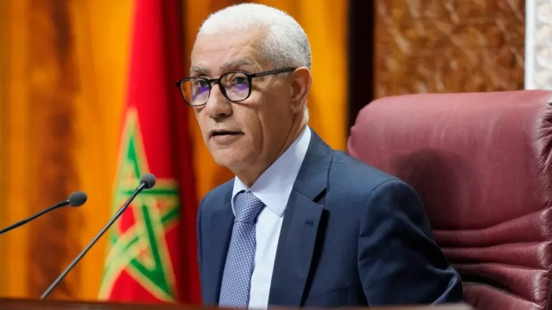 بلدان منطقتي الخليج والمتوسط تملك إمكانيات هائلة لربح رهانات التجارة الدولية والانتقال الطاقي والتكنولوجي (الطالبي العلمي)