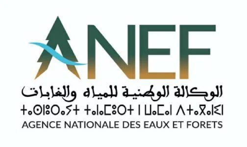 غابة البرج بضواحي طنجة.. أشغال حراجية تقنية مشروعة لإنشاء خط كهربائي عالي الجهد (وكالة)