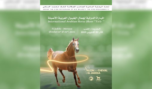 الدورة ال16 لمعرض الفرس للجديدة تستضيف المباراة الدولية “Title Show” لجمال الخيول العربية الأصيلة