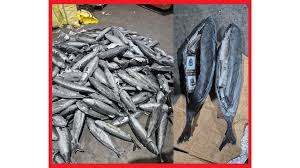 ميناء طنجة المتوسط.. إحباط محاولة للتهريب الدولي للمخدرات وحجز ثلاثة أطنان و932 كيلوغراما من مخدر الشيرا (بلاغ)