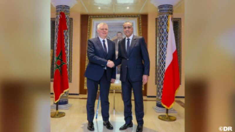 حموشي يستقبل الوزير المنتدب لدى الوزير الأول المكلف بالتنسيق بين المصالح الأمنية والأجهزة الخاصة بدولة بولونيا