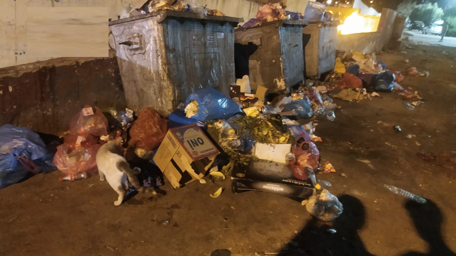 النفايات تغزو شوارع سطات… مدينة تختنق تحت وطأة الإهمال