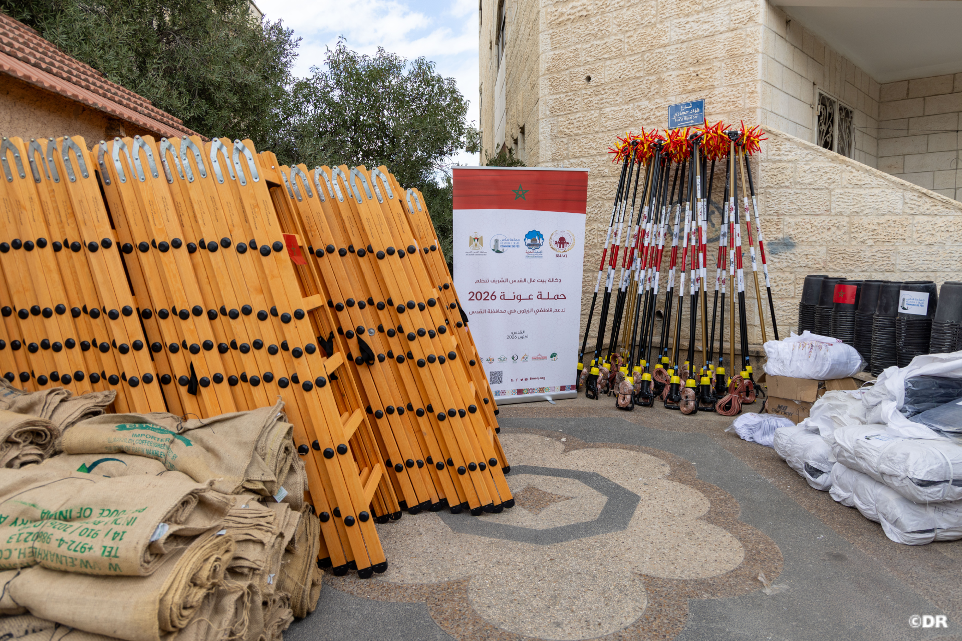 بدعم مغربي.. إطلاق حملة “عونة” لمساندة قاطفي الزيتون في القدس