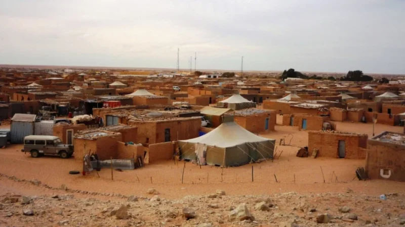الأمم المتحدة.. متدخلون ينددون بتجنيد الأطفال من طرف “البوليساريو” وانسداد الأفق أمام الشباب في مخيمات تندوف